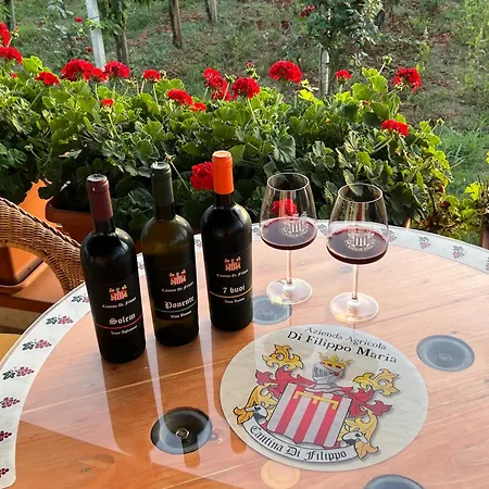 Vigna Di Filippo - Bed & Breakfast Paestum