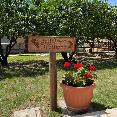 Vigna Di Filippo - Bed & Breakfast